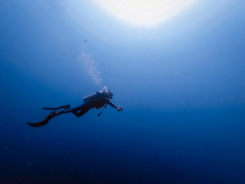 The Best Wetsuits for Diving